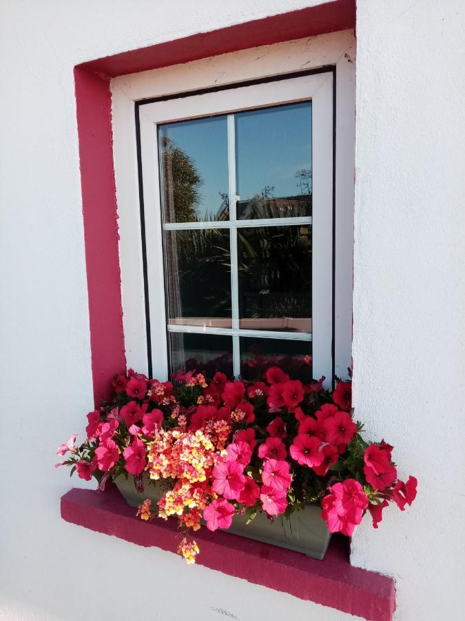 B&B The Red Door Cottage Donegal Town Extérieur photo