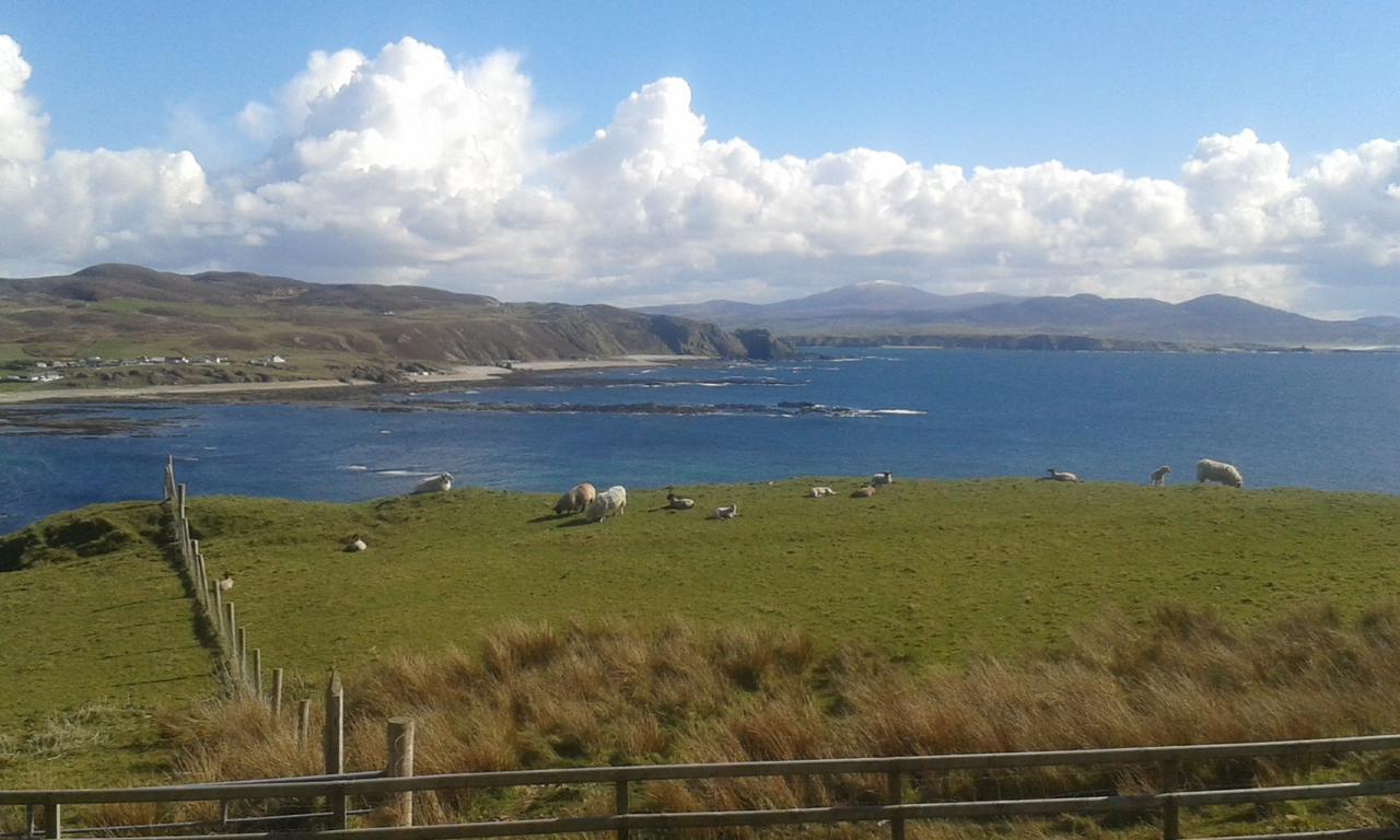 B&B The Red Door Cottage Donegal Town Extérieur photo