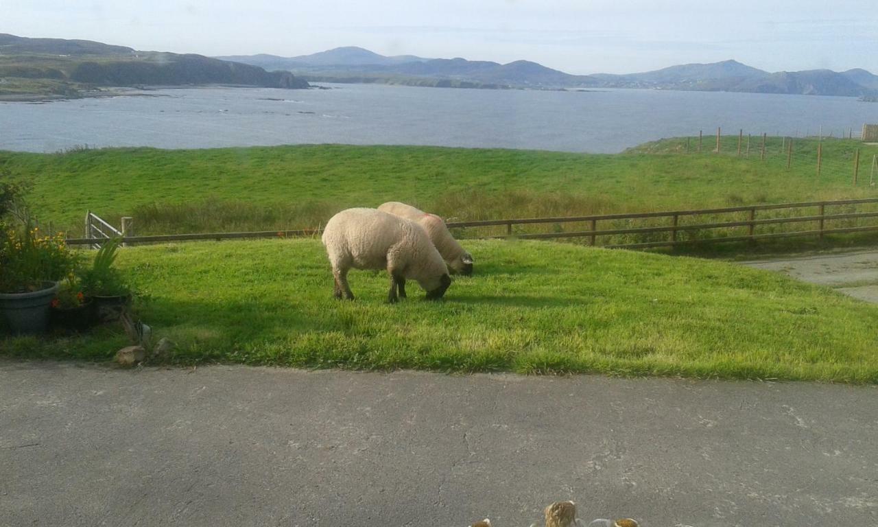 B&B The Red Door Cottage Donegal Town Extérieur photo